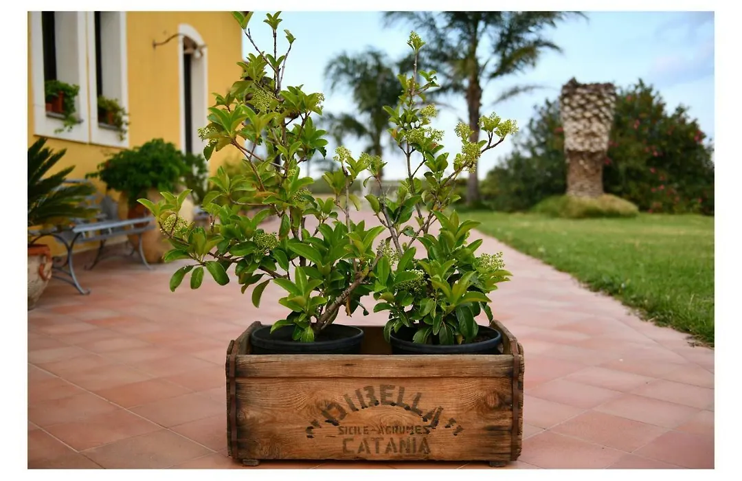Agriturismo Passitti-1